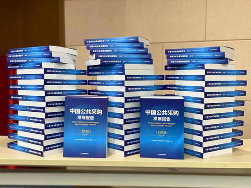 公共資源交易不見(jiàn)面開(kāi)標(biāo)技術(shù)在打擊圍標(biāo)串標(biāo)中的應(yīng)用