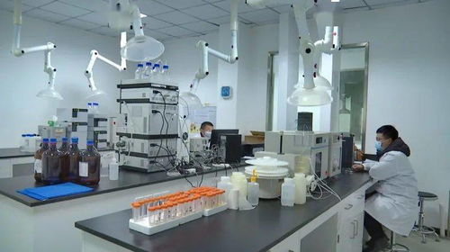 優(yōu)化營(yíng)商環(huán)境與服務(wù)質(zhì)量 何平調(diào)研市公共資源交易中心與公共檢測(cè)中心